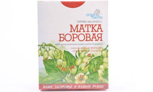 Борова матка при циститі у жінок