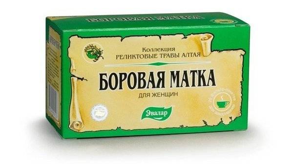 Борова матка при циститі у жінок