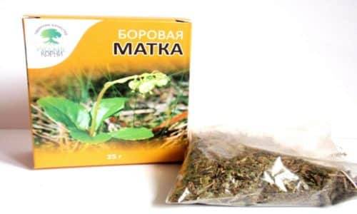 Борова матка при циститі у жінок