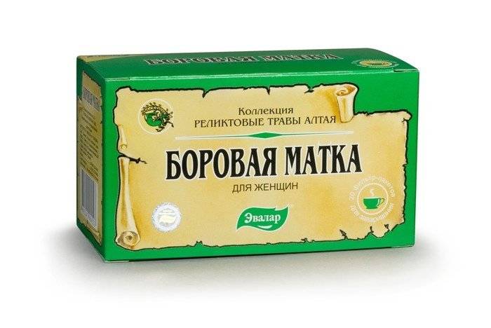Борова матка при циститі: відгуки