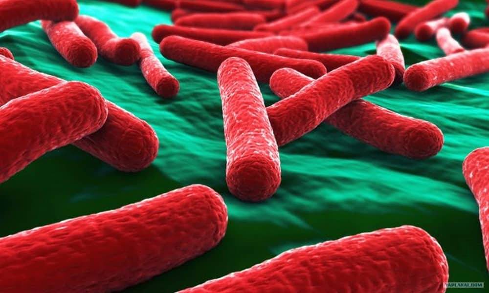 Частий цистит у жінок причини і лікування Частий цистит у жінок причини і лікування