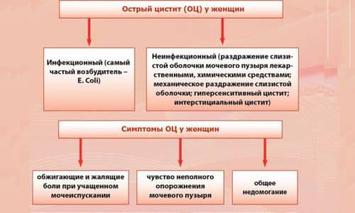 Чи можна завагітніти при хронічному циститі: впливає і на зачаття і вагітність 2019