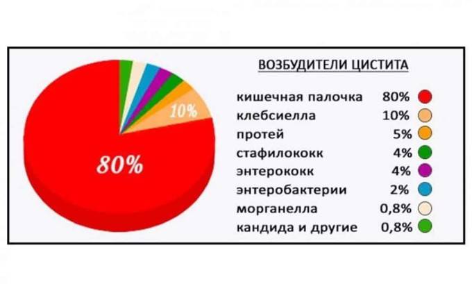Чому цистит не проходить