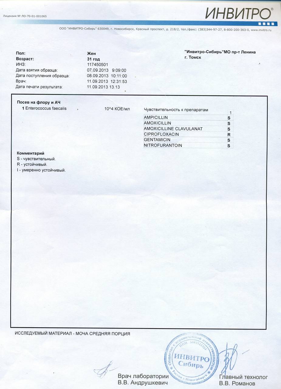 Цистит лікування бактеріофагами Лікування циститу