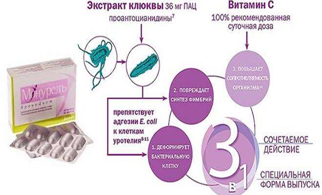 Цистит монурал і монурель – Цистит