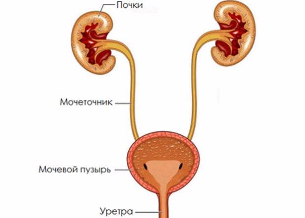Цистит у дітей Що робити і як лікувати