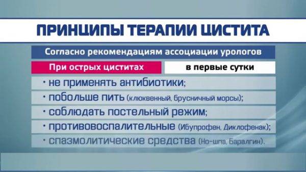 Цистит-запалення сечового міхура Цистит-запалення сечового міхура