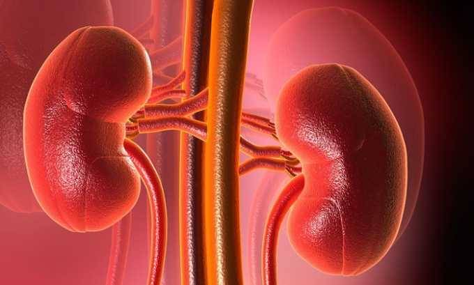 Допомагає при циститі бруснивер?