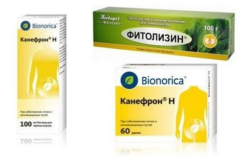 Фитолизин при циститі – відгуки і ціна пасти, інструкція по застосуванню