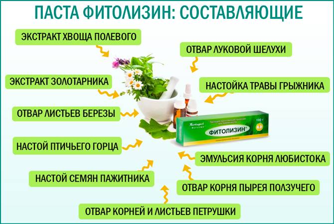 Фитолизин від циститу паста суспензія профілактика
