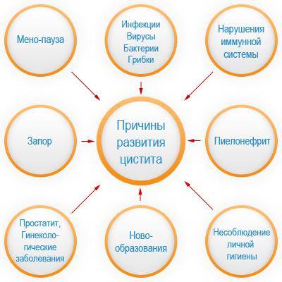Харчування при циститі у чоловіків Харчування при циститі у чоловіків