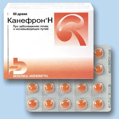 Канефрон при циститі (таблетки, краплі): відгуки, як брати, скільки пити, інструкція по застосуванню, через скільки діє, дозування