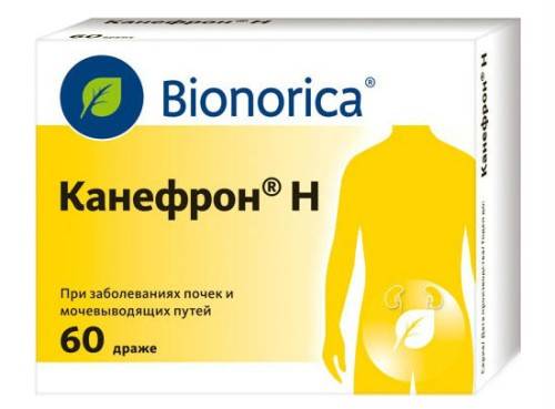 Канефрон в таблетках і краплях при циститі при вагітності Канефрон в таблетках і краплях при циститі при вагітності