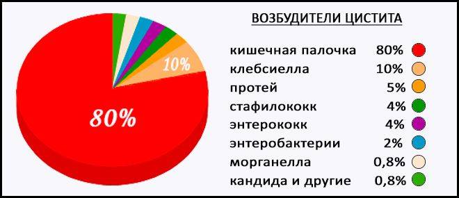 Лікування гострого циститу у жінок лікарськими засобами Лікування гострого циститу у жінок лікарськими засобами