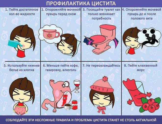 Лікування гострого циститу у жінок лікарськими засобами Лікування гострого циститу у жінок лікарськими засобами