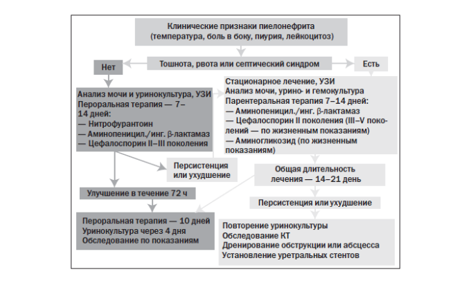 Лікування пієлонефриту і циститу народними засобами