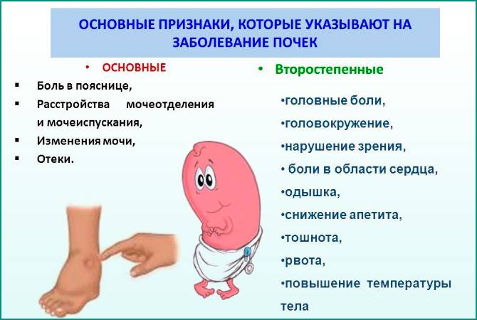 Може цистит пройти сам Нирки