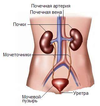 чим лікувати цистит у дітей ліки таблетки антибіотики народні засоби