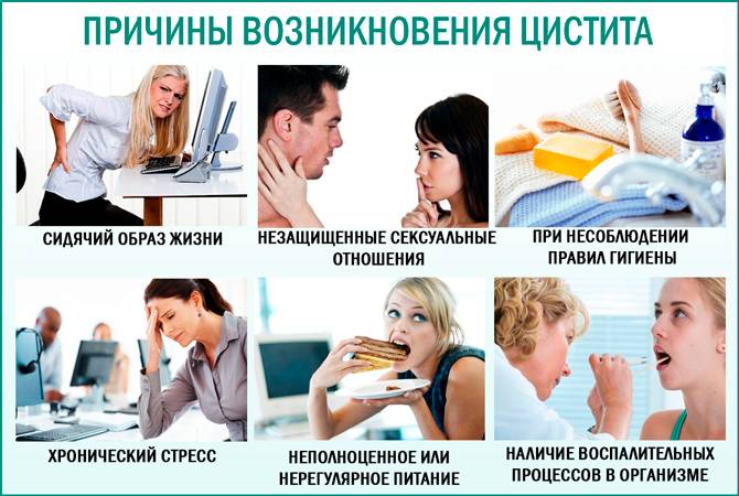Інструкція по застосуванню Нолицина при циститі