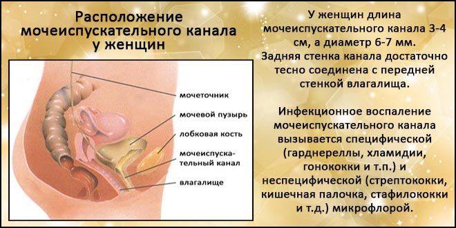 Передається цистит від жінки до чоловіка, від чоловіка до жінки, Чи можна заразитися циститом Передається цистит від жінки до чоловіка, від чоловіка до жінки, Чи можна заразитися циститом