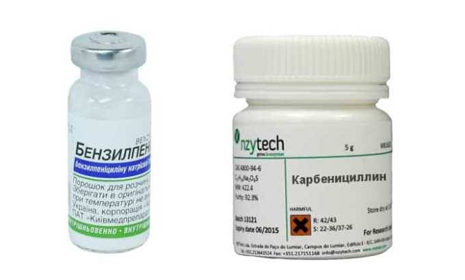 Показання та спосіб застосування Амікацину при циститі