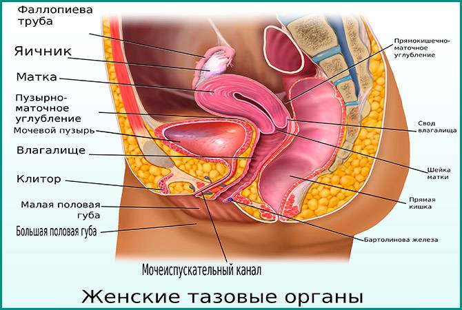 Постійно повертається цистит що робити