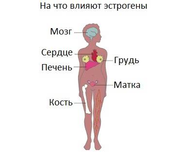 Причини циститу під час менопаузи