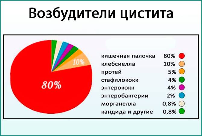 Причини і лікування циститу в літньому віці