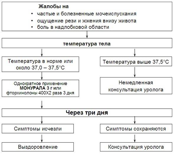 Причини виникнення циститу у жінок – від чого з’являється цистит? Причини виникнення циститу у жінок – від чого з’являється цистит?