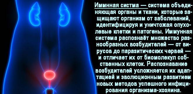 Рецидиви циститу кожен місяць Цистит