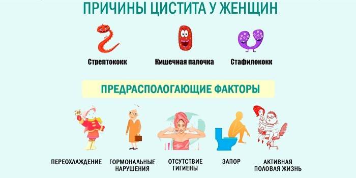 Що таке цистит, чому він виникає і як його лікують? Що таке цистит, чому він виникає і як його лікують?