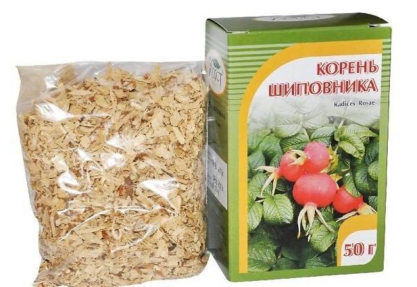 Шипшина при циститі: як приймати, рецепти приготування, відгуки пацієнтів і лікарів Шипшина при циститі: як приймати, рецепти приготування, відгуки пацієнтів і лікарів
