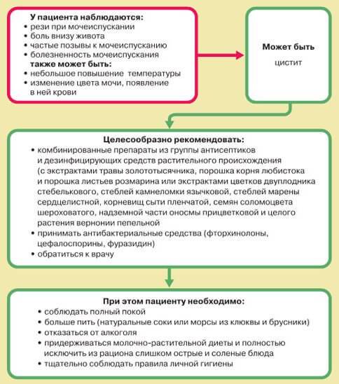 Спазм сечового міхура при циститі Спазм сечового міхура при циститі