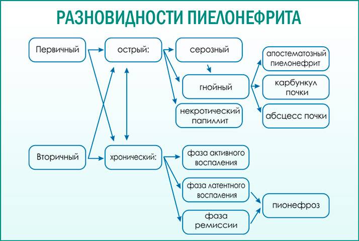 Таблетки від пієлонефриту і циститу