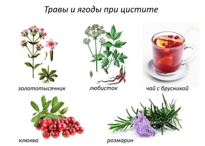 Таблетки від сечокам’яної хвороби і циститу