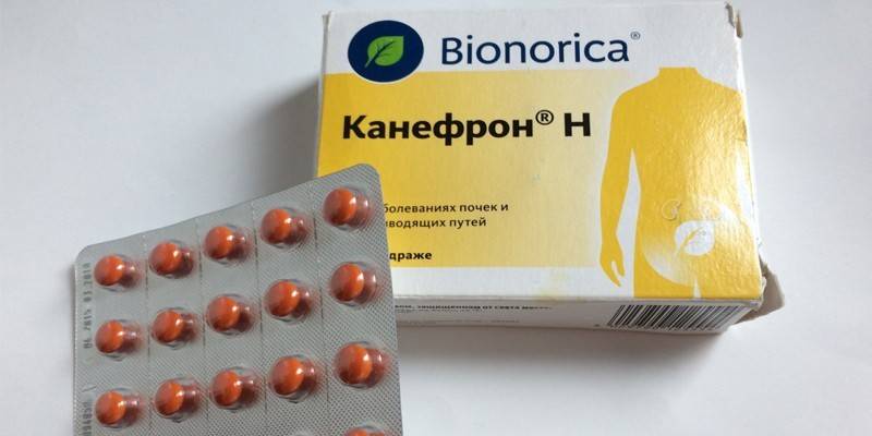 Трав’яні таблетки від циститу – перелік фітопрепаратів і схема лікування