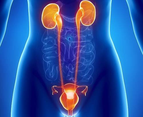 Умови при яких передатся цистит