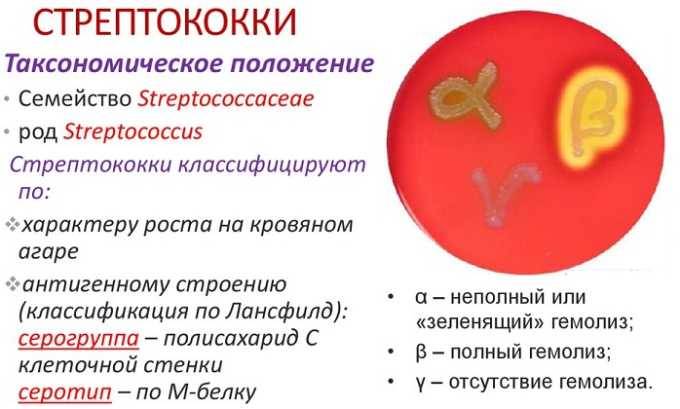 В яких випадках цистит передається статевим шляхом