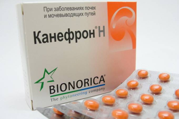 Як приймати Канефрон для профілактики циститу