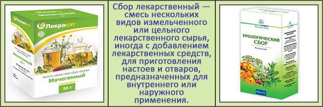 Які трави пити при циститі у жінок: швидке народне лікування Які трави пити при циститі у жінок: швидке народне лікування