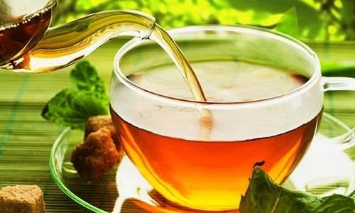 Як заварити мучницю від циститу Як заварити мучницю від циститу