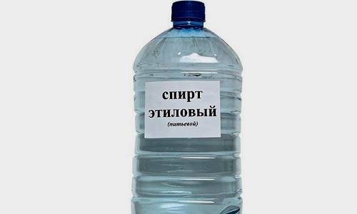 Як заварити мучницю від циститу Як заварити мучницю від циститу