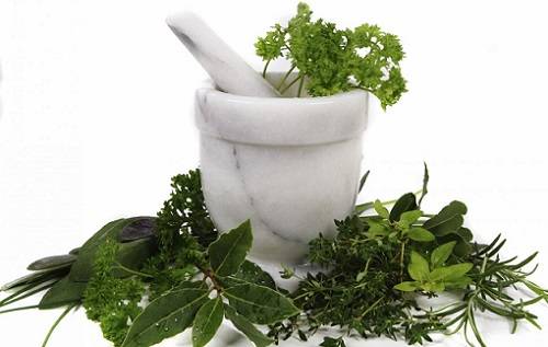 Якими травами лікувати хронічний цистит