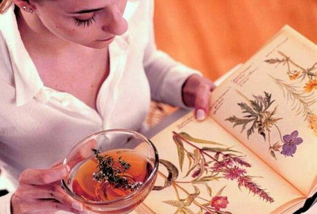 Якими травами лікувати хронічний цистит