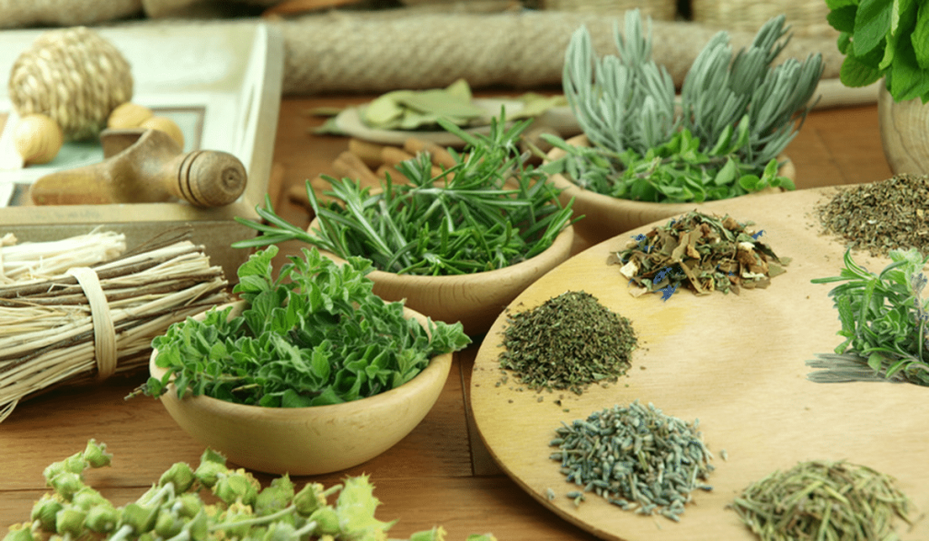 trava zv rob y pri cistit 1 1024x597 - Трава звіробій при циститі